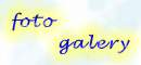 fatogalery